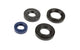 Oil Seal Kit PGO Big Max 50cc