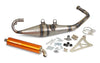 Exhaust Stage6 Pro Replica MK2 Orange Piaggio
