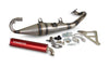 Exhaust Stage6 Pro Replica MK2 Red Peugeot horizontal LC