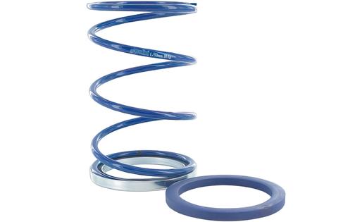 Torque Spring + Evo Slider Polini Piaggio