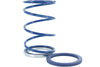 Torque Spring + Evo Slider Polini Piaggio