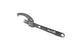 C-Spanner Buzzetti