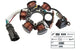 Ignition Stator original Piaggio after 1999