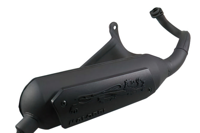 Exhaust Malossi Wild Lion Piaggio Zip