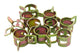Hose Clips d=8.5mm (10x)