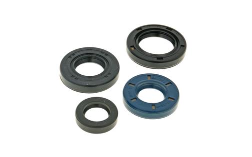 Oil Seal Kit PGO new
