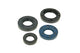 Oil Seal Kit PGO new