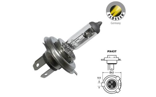 Halogen Bulb headlight Flosser 12V - 35/35W - PX43T - HS1