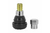 Tire Valve tubeless straight TR412 - 33mm grey