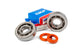 Crankshaft Bearing Set Stage6 R/T C4 polymer cage Peugeot vertical Euro 1