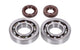 Crankshaft Bearings and Oil Seals FKM Naraku Honda X8R