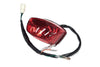 Taillight Sym Allo