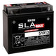 Battery SLA Max BS Battery 12V - 22Ah