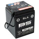 Battery SLA BS Battery 6N4-2A/A-4 6V 4,2Ah