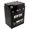 Battery SLA BS Battery B38-6A 6V - 13,7Ah