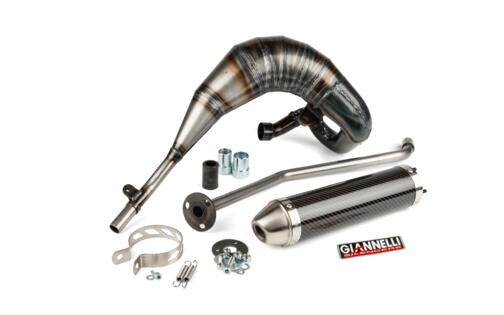 Exhaust carbon Giannelli Generic Trigger