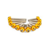 CVT Cover Bolts STR8 Minarelli gold