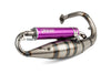 Exhaust Yasuni R Peugeot vertical Purple