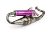 Exhaust Yasuni R-Pro Piaggio Purple