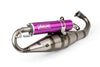 Exhaust Yasuni C16 Piaggio Purple