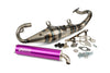 Exhaust Yasuni R-Pro Peugeot liegend / Morini Purple