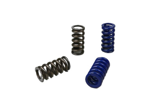 Clutch Spring Set Polini Speed Clutch 2G EVO2