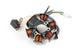 Ignition Stator Piaggio Purejet