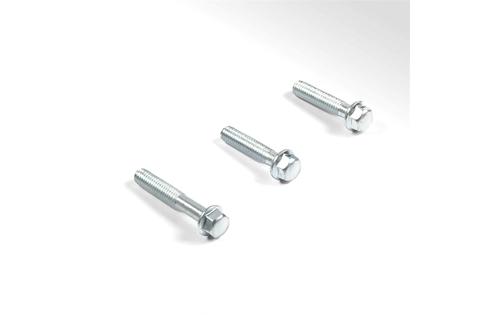 Screws (x3) ignition cover