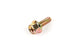 Exhaust Screw M6x18mm (x1)