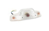 Tail Light white Yamaha BW's before 1999